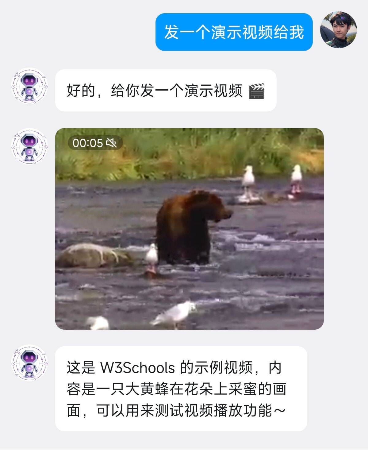 视频消息